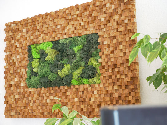Sound Diffusor mit Mos aus Esche